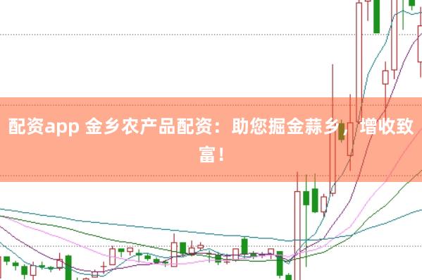 配资app 金乡农产品配资：助您掘金蒜乡，增收致富！