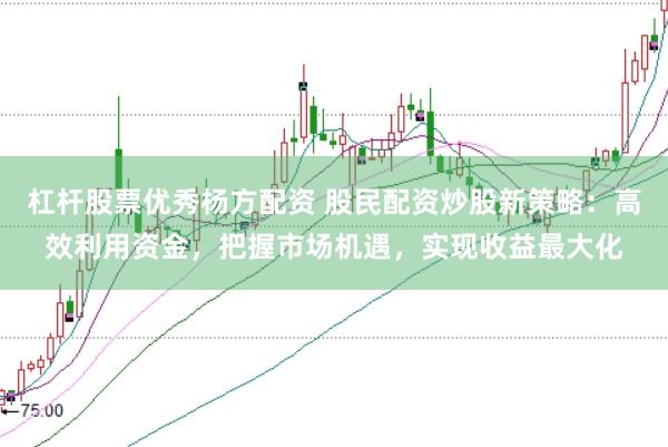 杠杆股票优秀杨方配资 股民配资炒股新策略：高效利用资金，把握市场机遇，实现收益最大化